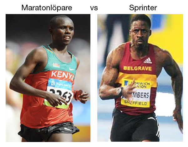 Maraton vs sprinter